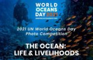 Blancpain снова поддержит проведение World Oceans Day